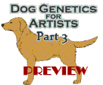 Dog Colors for Artists- part 3