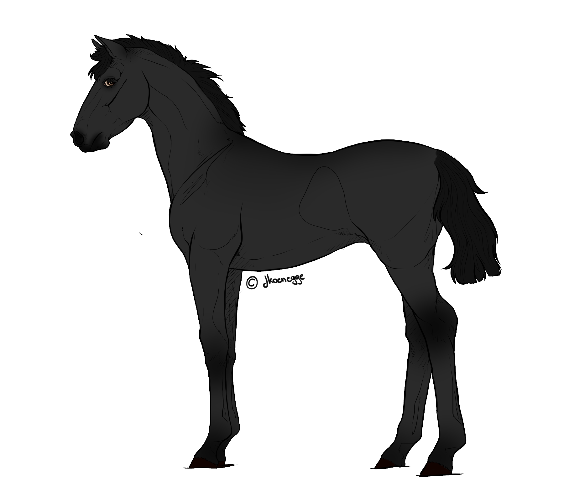 F2U Free Foal Lineart by JKoenegge by JKoenegge on DeviantArt