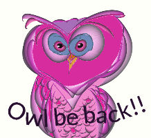 Owl be back!!