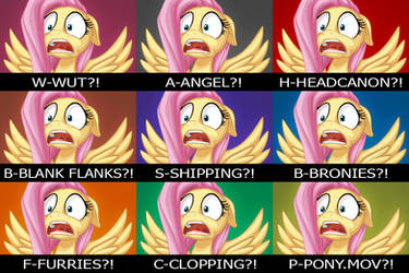 Fluttershy's Reaction Caption