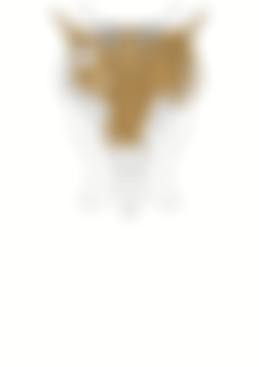 Chrono Trigger Comic 91 Timelapse