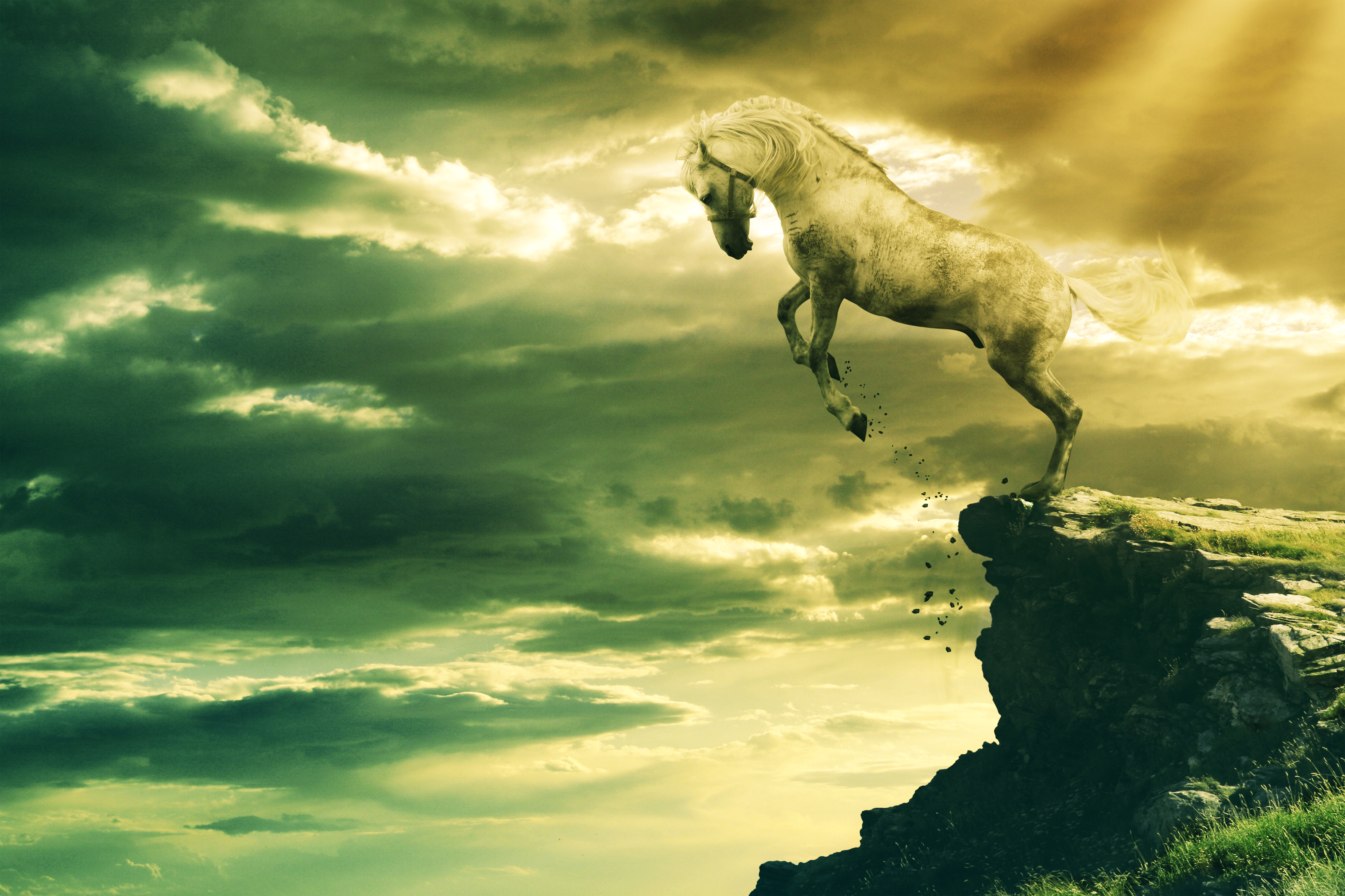 Leaping Stallion + .PSD