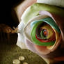 Loving You - Dedicated to...