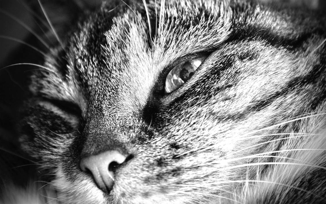 Don t Disturb Me By Earnurm On DeviantArt