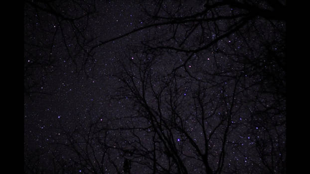 Cold Barren Time Lapse Film