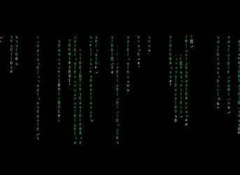 matrix code in flash