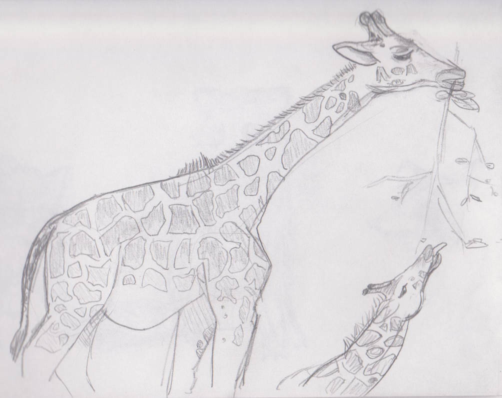 Giraffe by teucer12 on DeviantArt