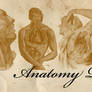 old anatomy pack 3