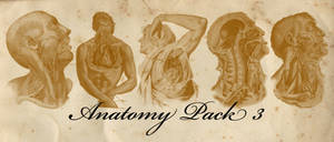 old anatomy pack 3