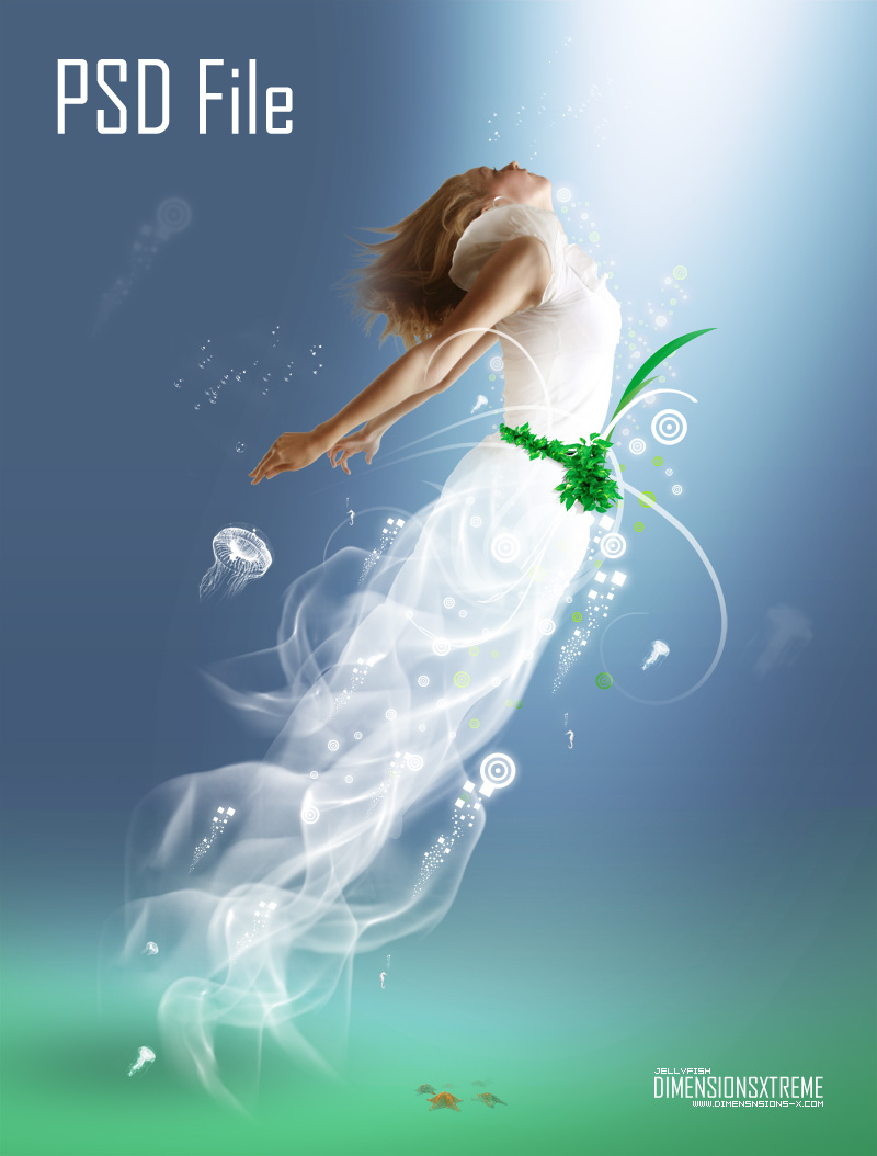 Download Psd File Jellyfish By Zaib On Deviantart