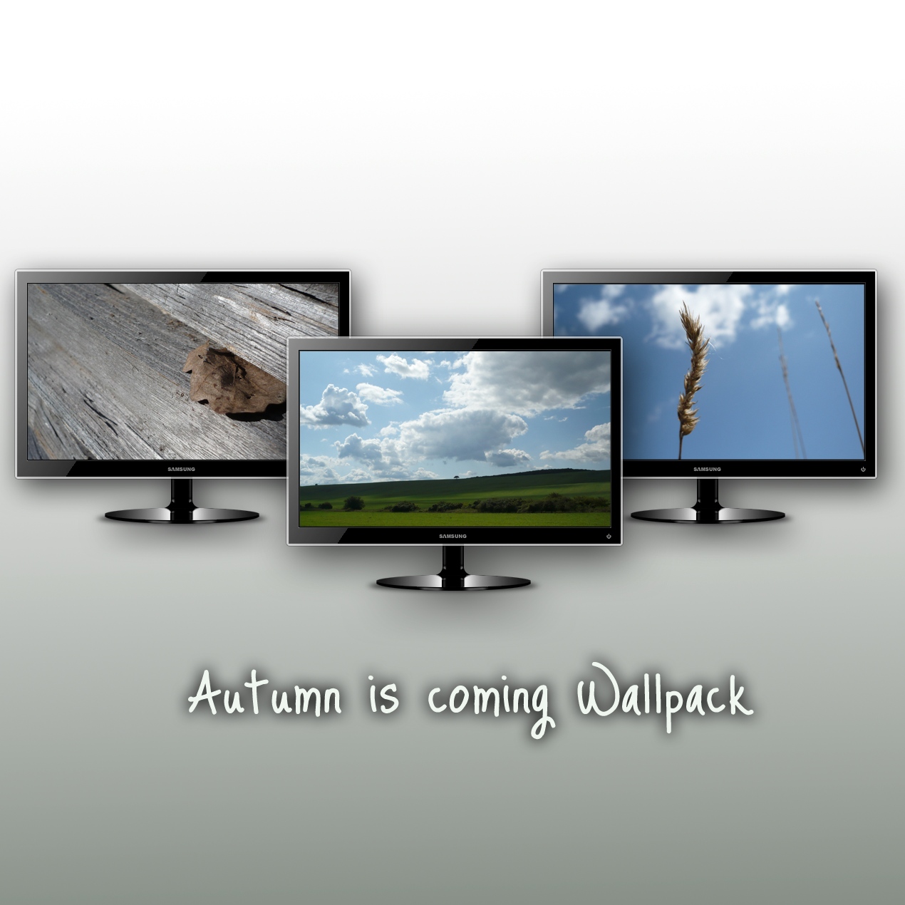 Autumn is comming Wallpack