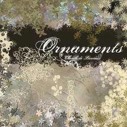 ORNAMENTS 2