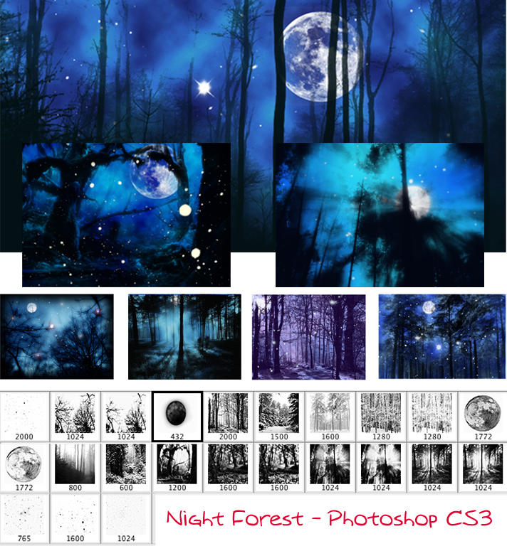 NIGHT FOREST by Elbereth-de-Lioncour on DeviantArt