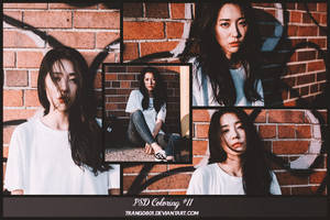 PSD Coloring | 11