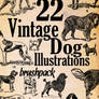22 Vintage Dog Illustrations Brushpack