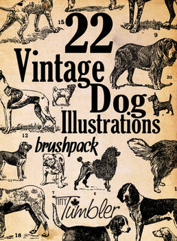 22 Vintage Dog Illustrations Brushpack