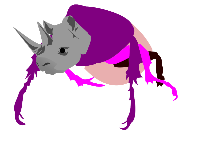 Rhinoceros Beetle