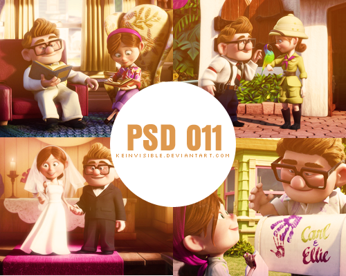 PSD#11