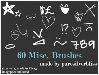 60 Misc. Brushes