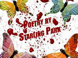 november rain by stArliNgParK on DeviantArt