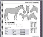 HARPG Character Sheet by decors on DeviantArt