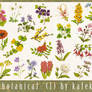 Flowers, Botanical - 1