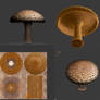 3D mushroom .obj