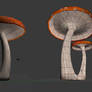 3D mushroom 2 .obj