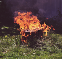 burning of the tree stump