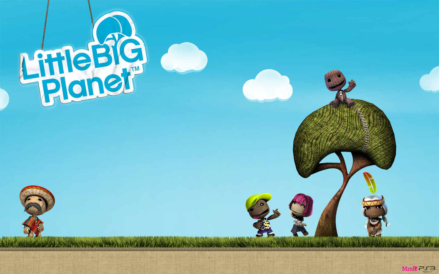 Little Big Planet