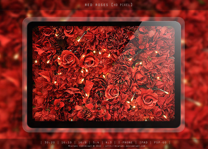RED ROSES by MIATARI on DeviantArt