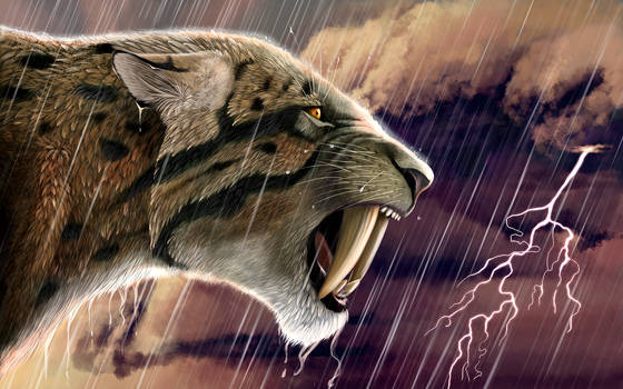 Smilodon, the classic saber toothed cat : r/Naturewasmetal