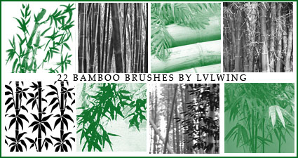 Bamboo brushes