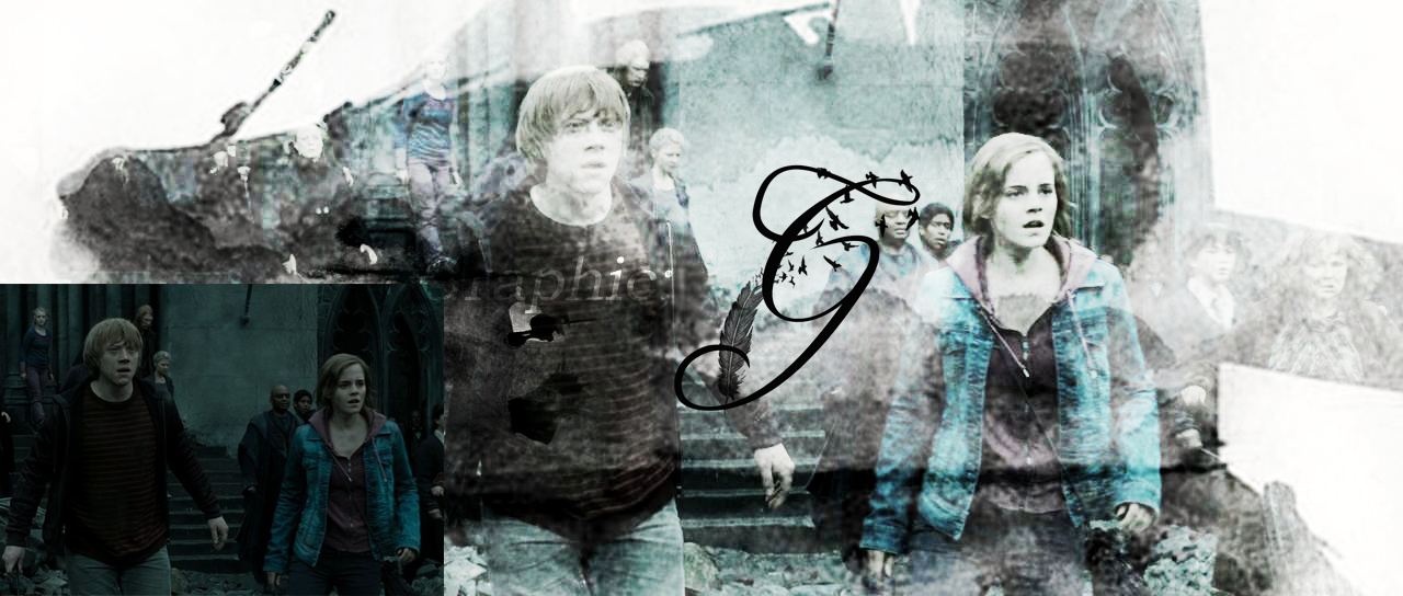 Harry Potter PSD