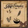 GIMP Brushes | Wheat Brushes