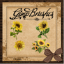 GIMP Brushes | Sunflower Brushes