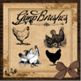 GIMP Brushes | Chicken Brushes