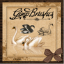 GIMP Brushes | Swan Brushes