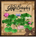GIMP Brushes | Lotus Brushes