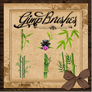 GIMP Brushes | Bamboo Brushes