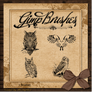 GIMP Brushes | Owl Brushes