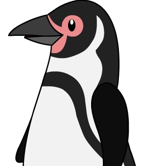 Pinguino de Humboldt