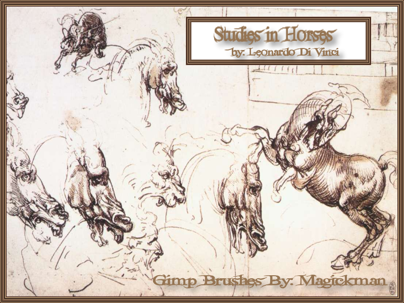 Studies In Horses-di vinci