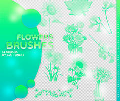 Brushes #1 / FLOWERS