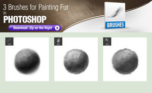 3 Photoshop Brushes for Painting Fur Texture