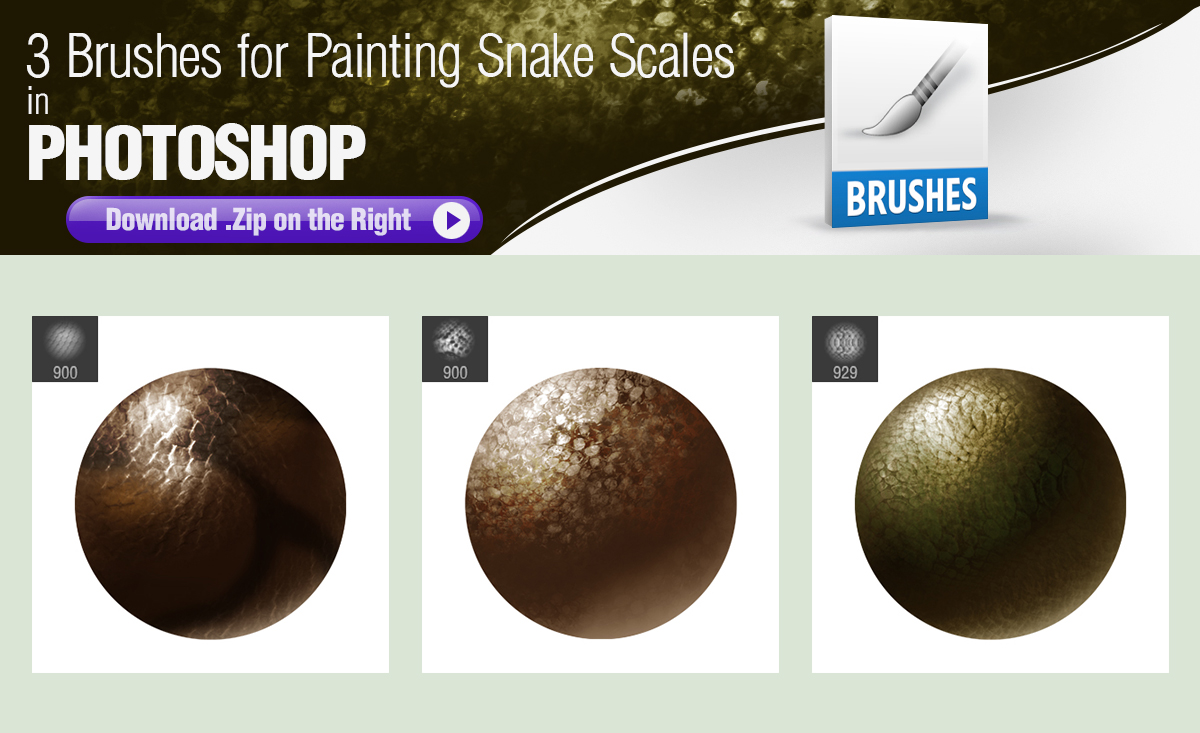 Photoshop Brushes for Painting Snake Scales