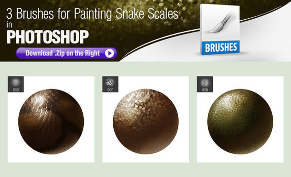 Photoshop Brushes for Painting Snake Scales