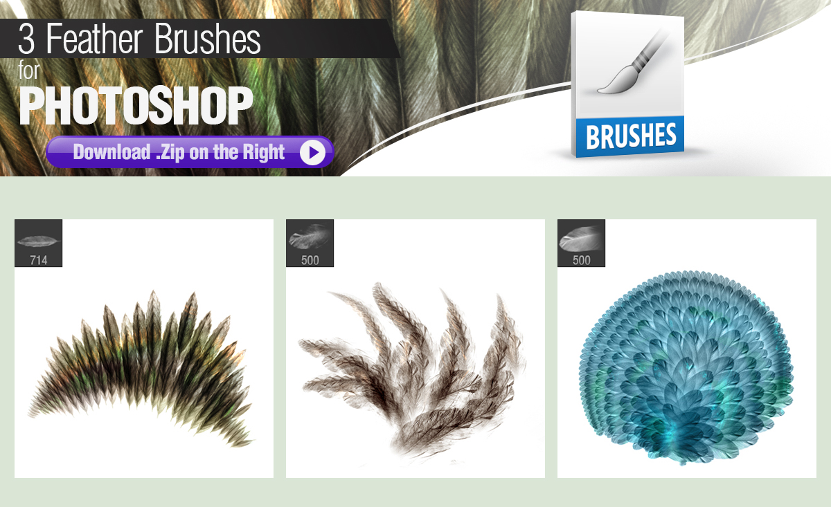 3 Photoshop Brushes for Painting Feathers