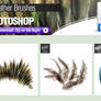3 Photoshop Brushes for Painting Feathers