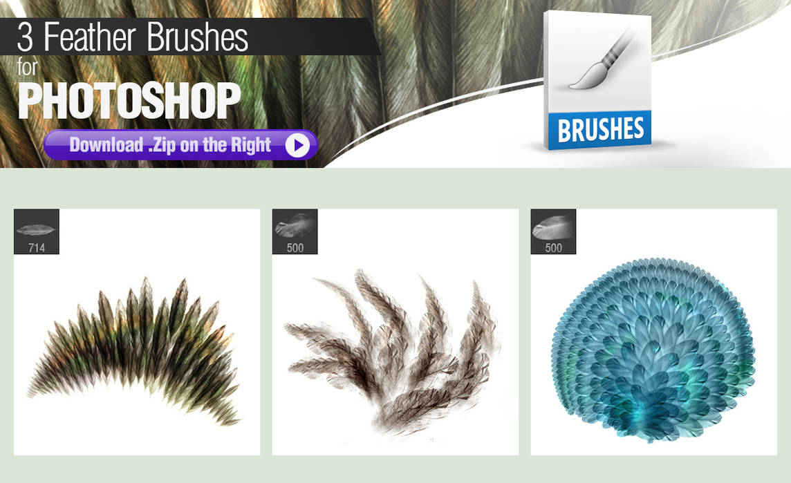 3 Photoshop Brushes For Painting Feathers By Pixelstains On Deviantart